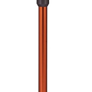 Aspirador Dyson V10 de exposición con accesorio moppa